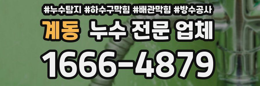 계동 누수 전문 업체
