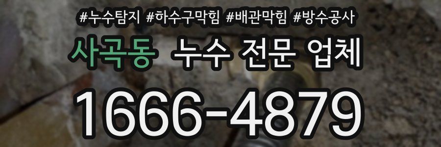사곡동 누수 전문 업체
