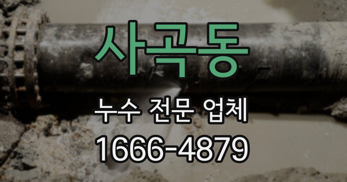 사곡동 누수 전문 업체