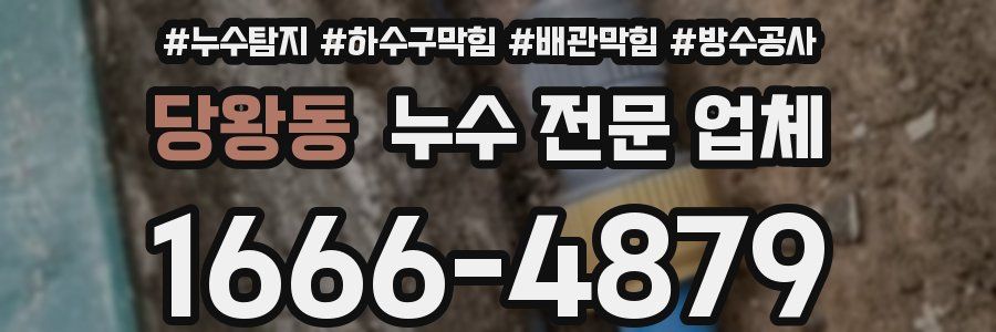 당왕동 누수 전문 업체