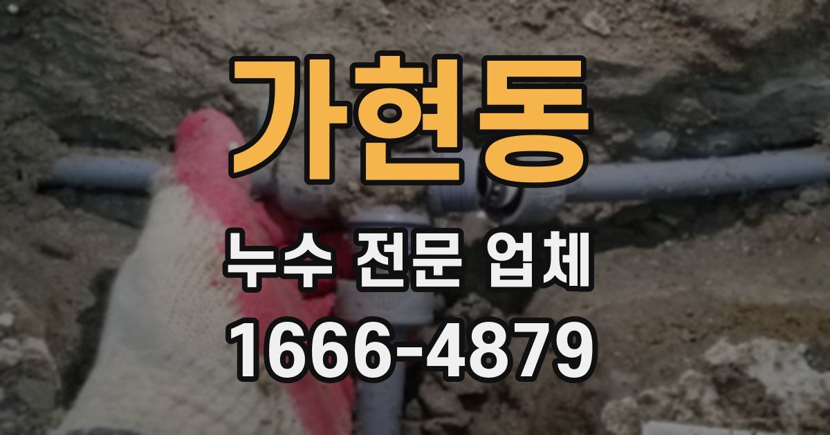 가현동 누수 전문 업체