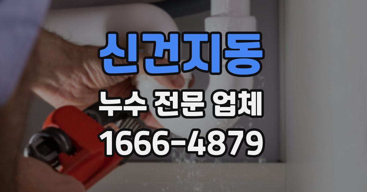 신건지동 누수 전문 업체