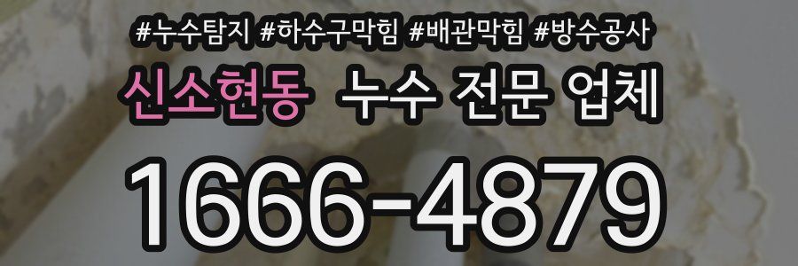 신소현동 누수 전문 업체