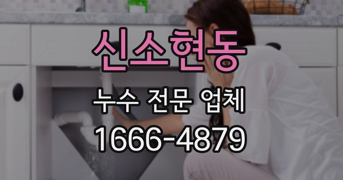 신소현동 누수 전문 업체