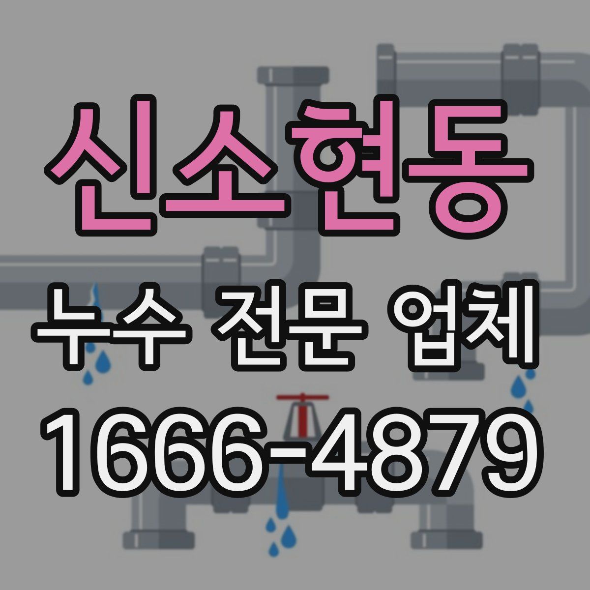 신소현동 누수 전문 업체