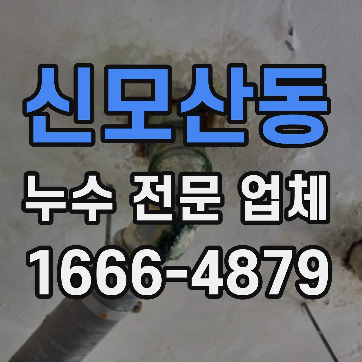 신모산동 누수 전문 업체