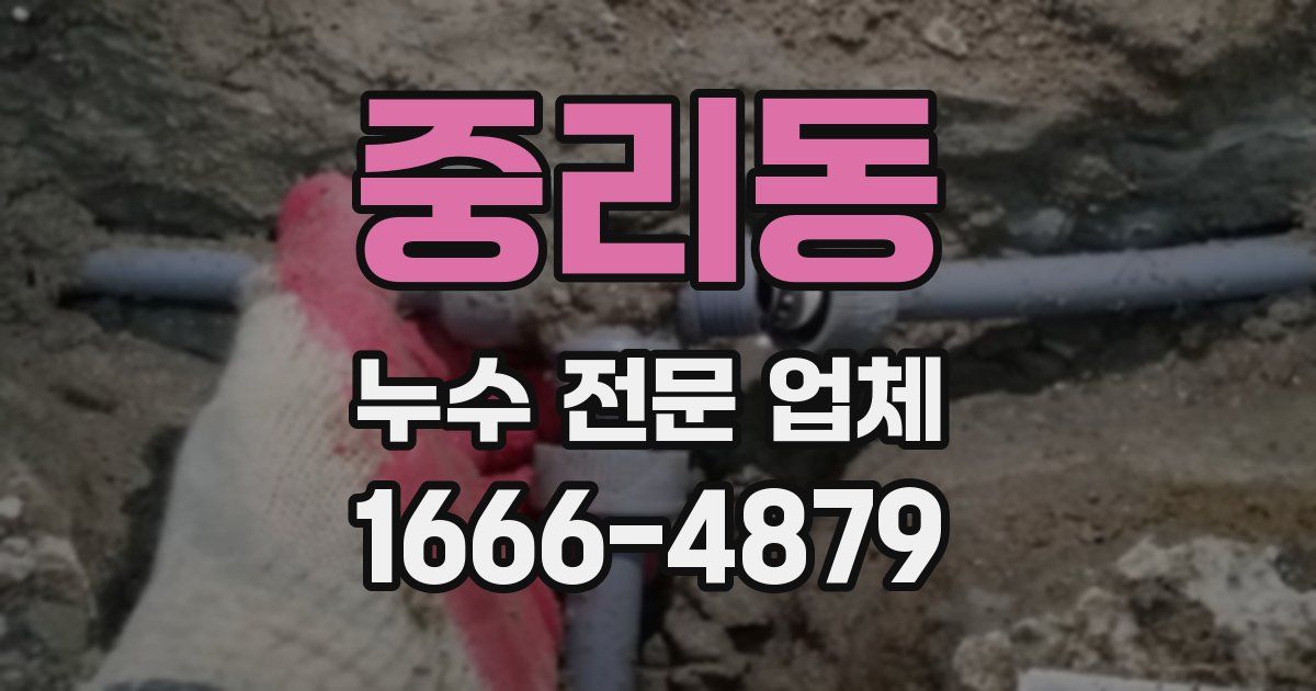 중리동 누수 전문 업체
