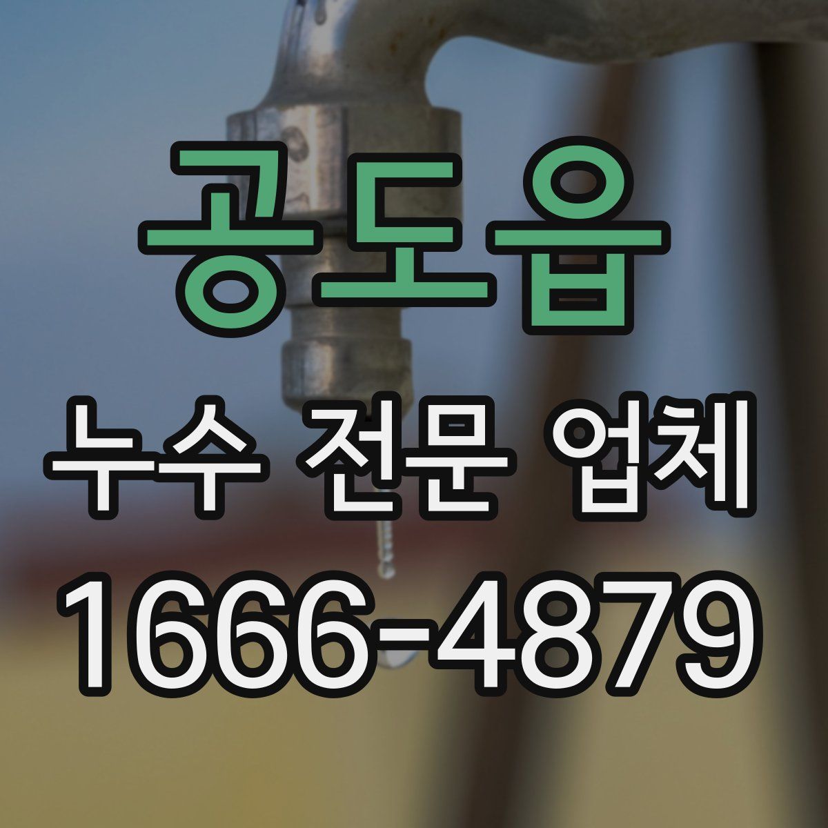 공도읍 누수 전문 업체
