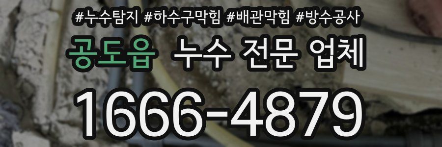 공도읍 누수 전문 업체