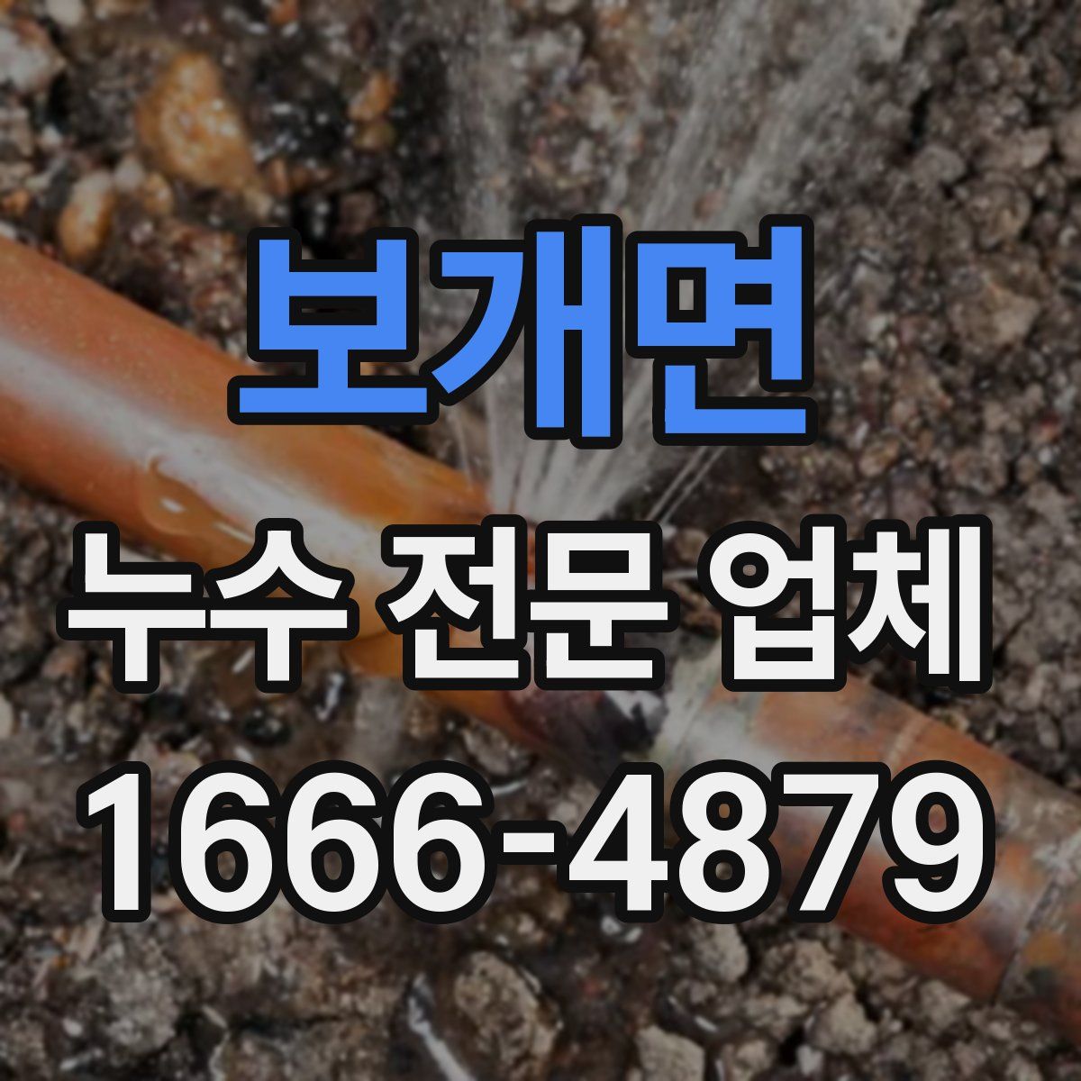 보개면 누수 전문 업체