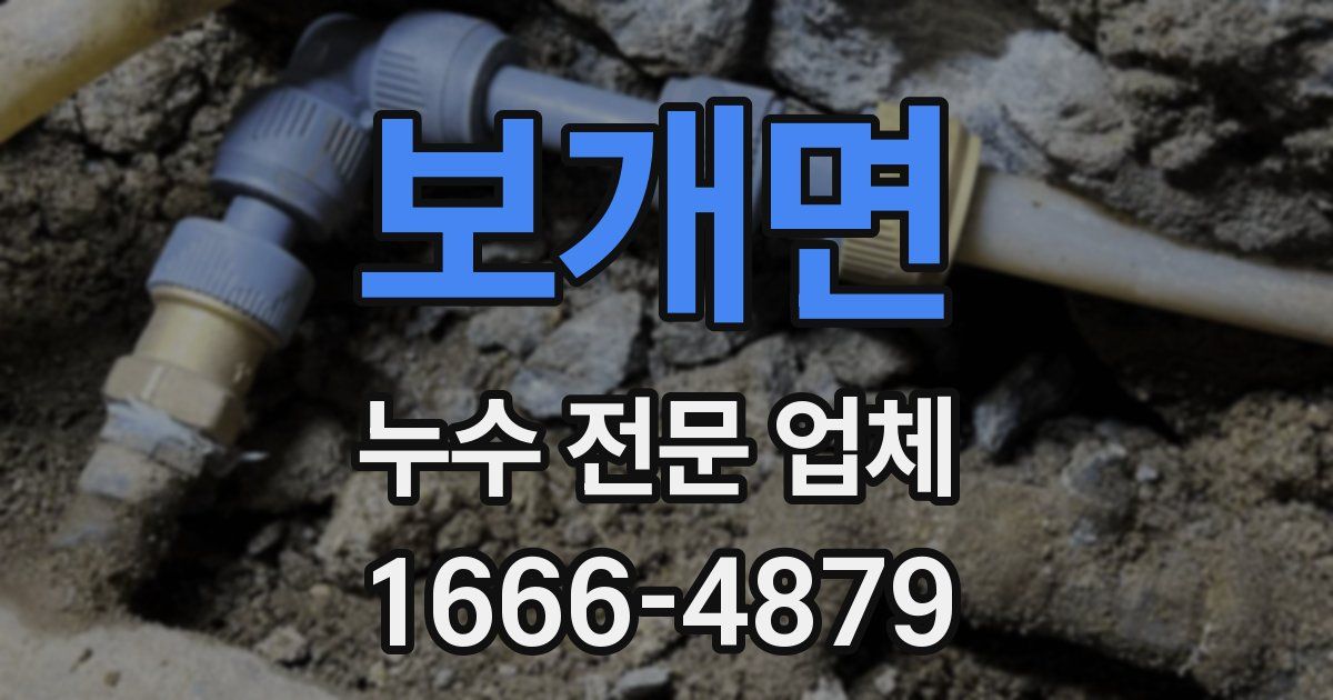보개면 누수 전문 업체