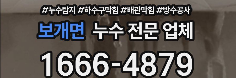 보개면 누수 전문 업체