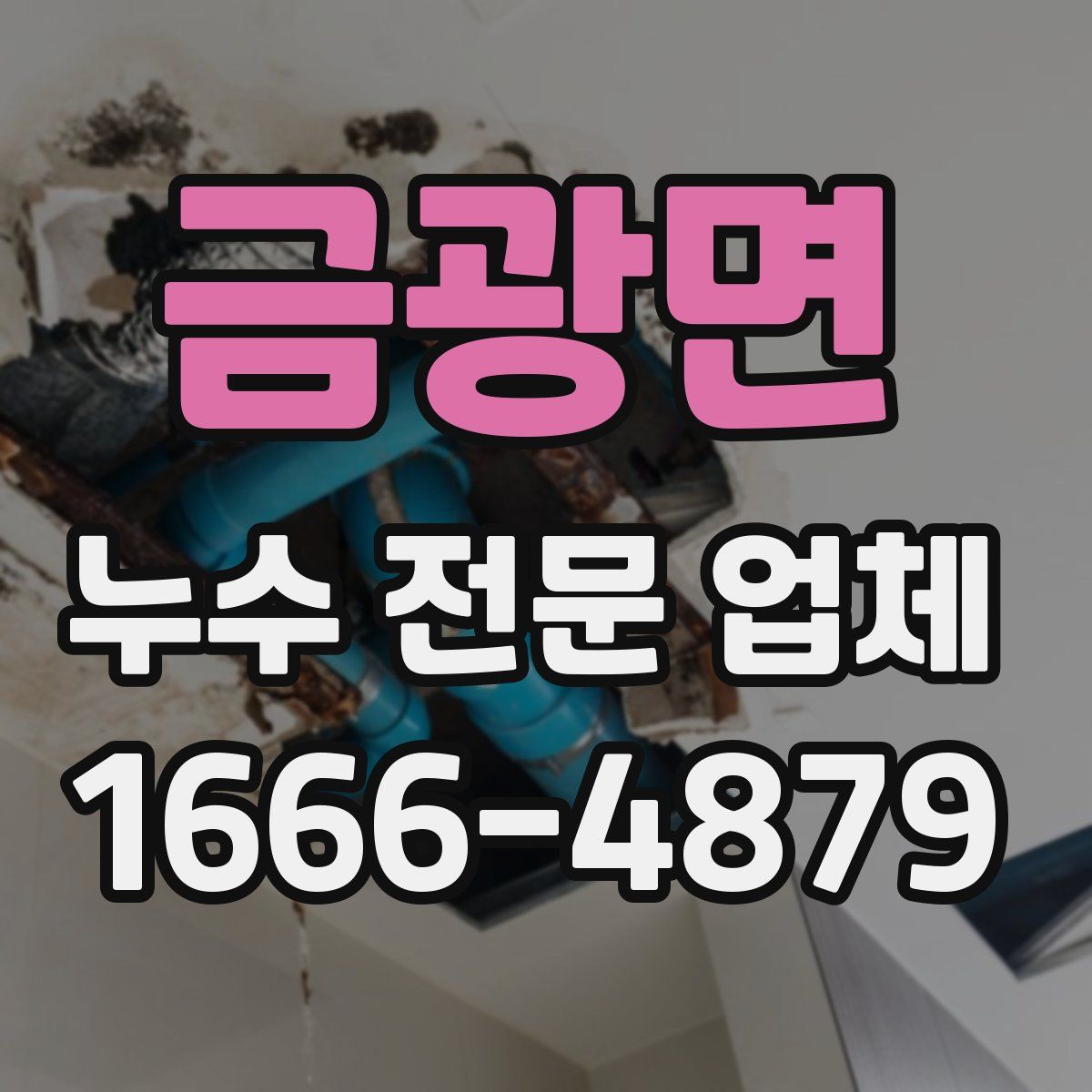 금광면 누수 전문 업체