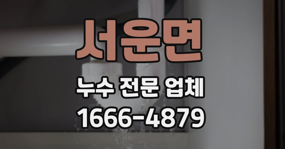 서운면 누수 전문 업체