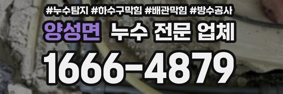 양성면 누수 전문 업체