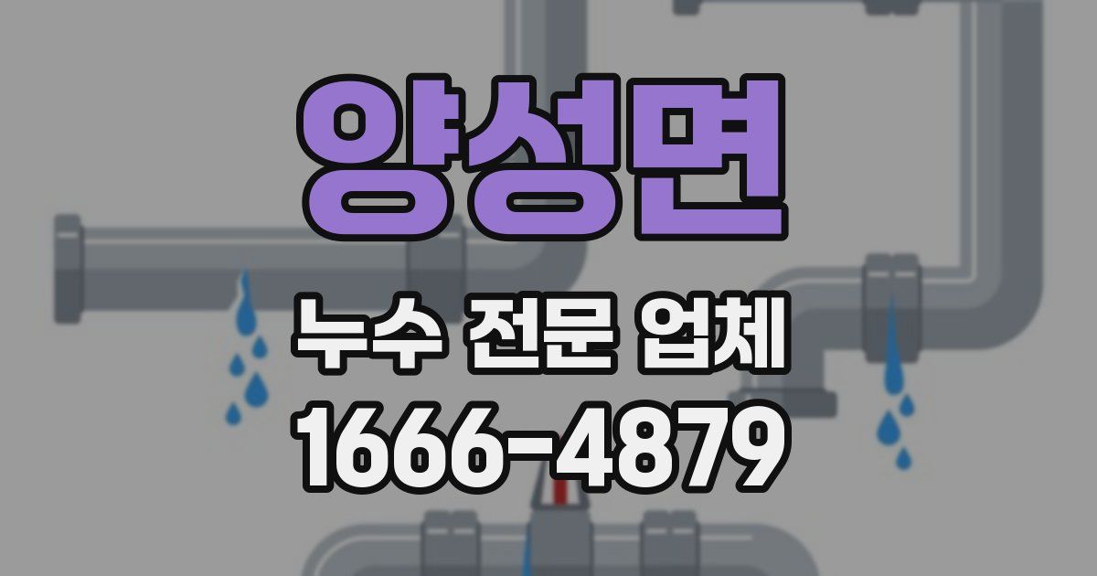 양성면 누수 전문 업체