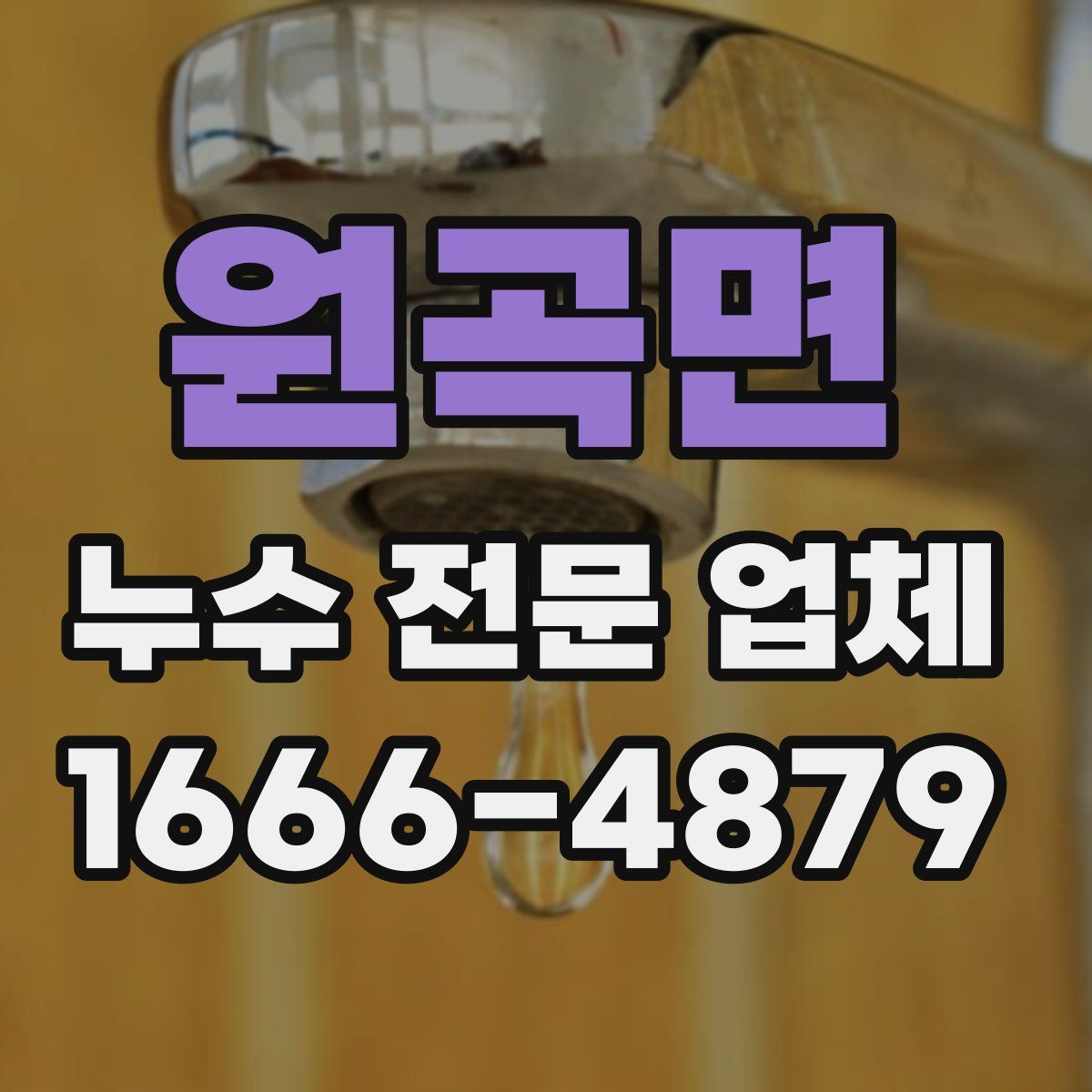 원곡면 누수 전문 업체