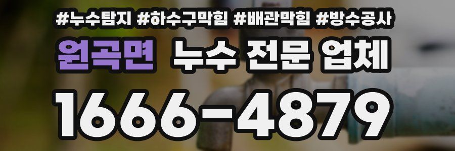 원곡면 누수 전문 업체