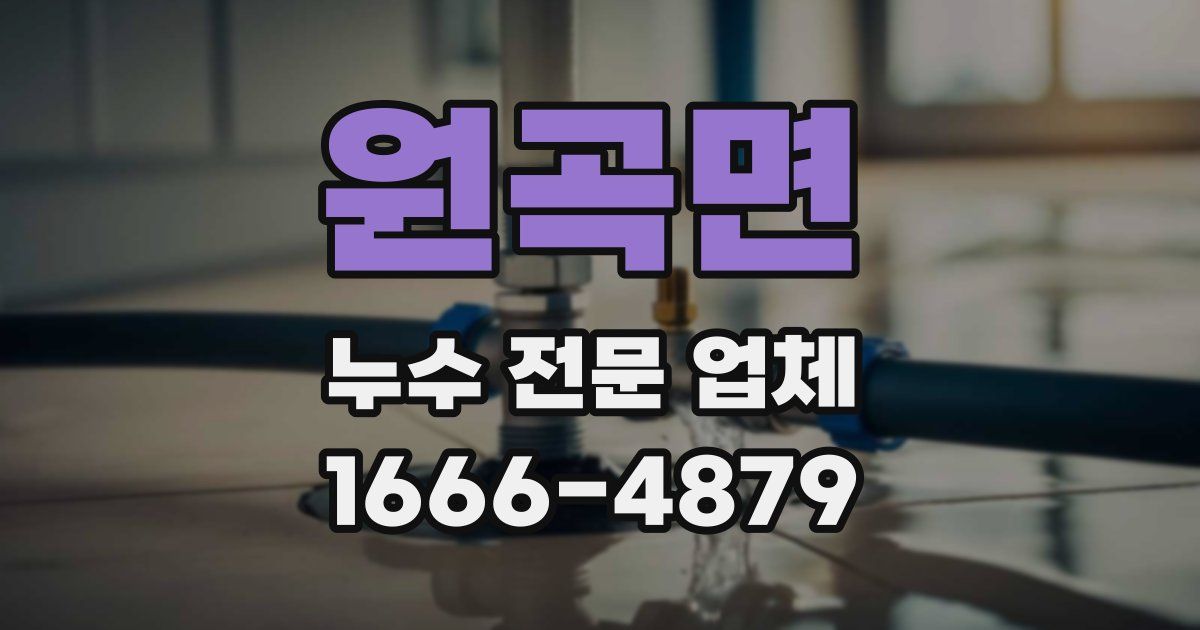 원곡면 누수 전문 업체