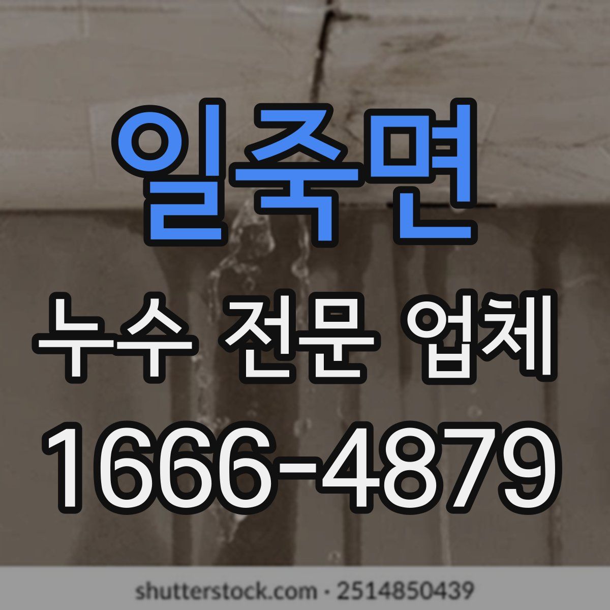 일죽면 누수 전문 업체