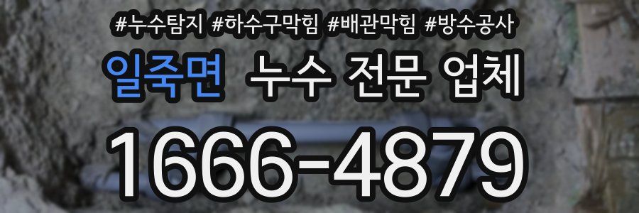 일죽면 누수 전문 업체