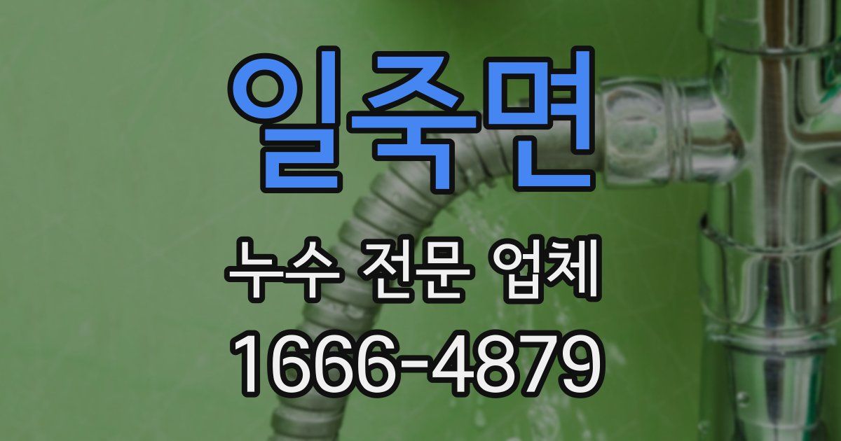일죽면 누수 전문 업체