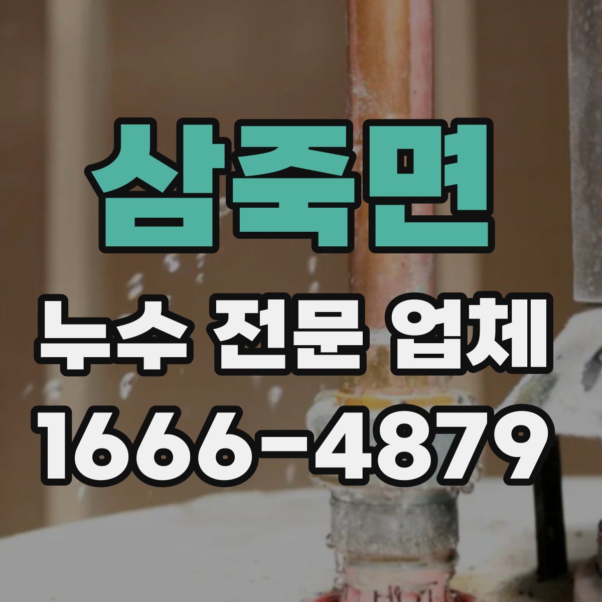 삼죽면 누수 전문 업체