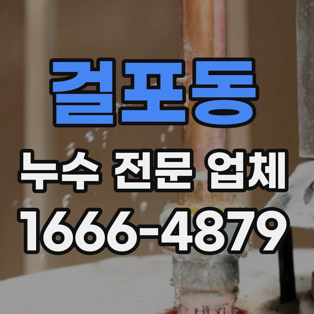 걸포동 누수 전문 업체