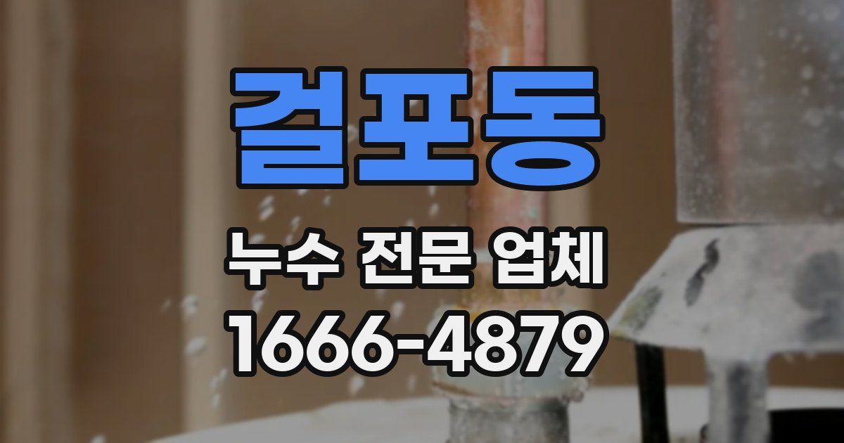 걸포동 누수 전문 업체