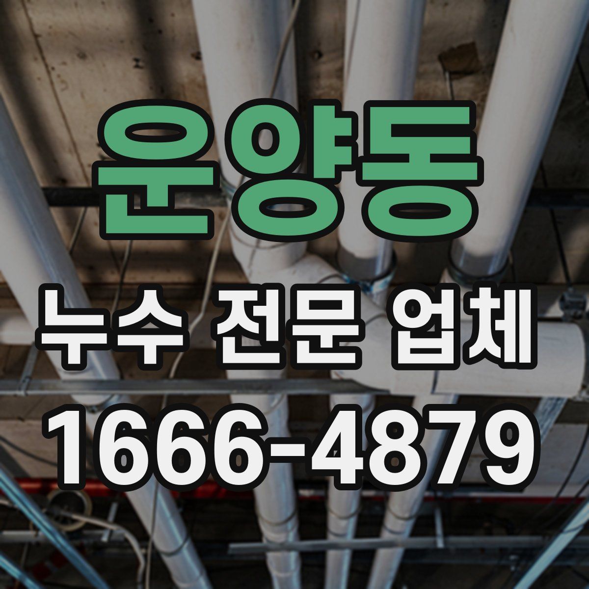 운양동 누수 전문 업체