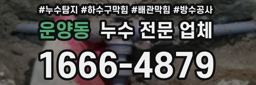 운양동 누수 전문 업체