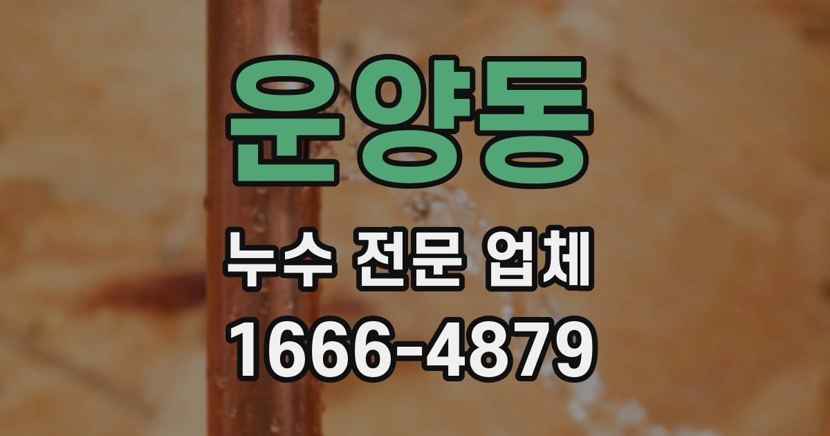 운양동 누수 전문 업체