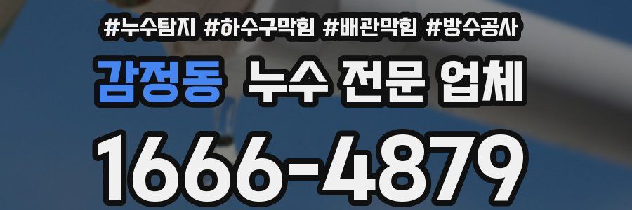 감정동 누수 전문 업체