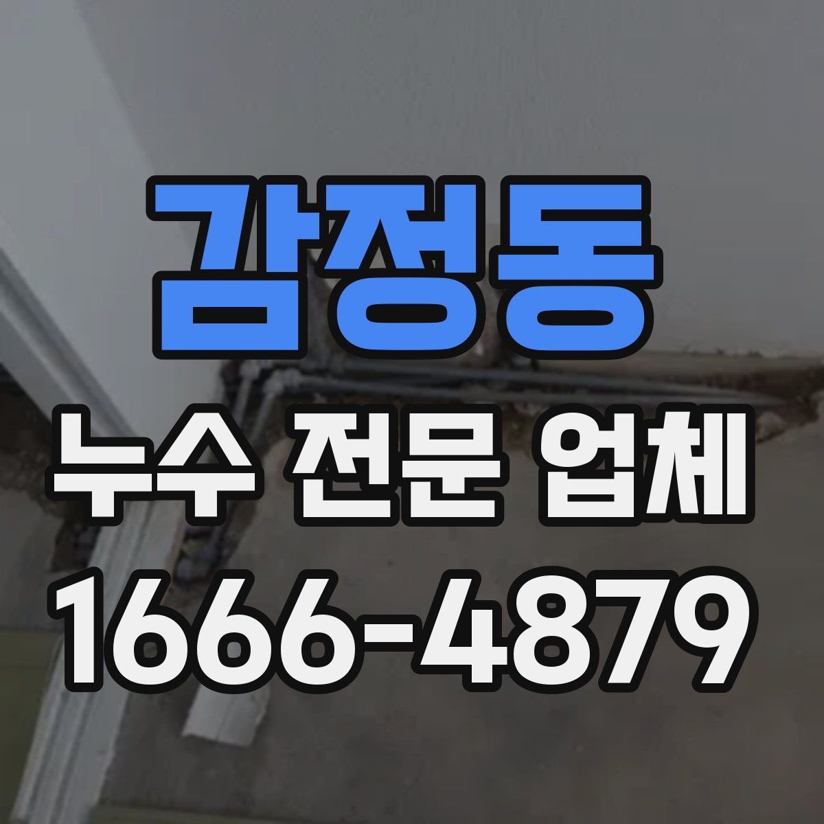 감정동 누수 전문 업체