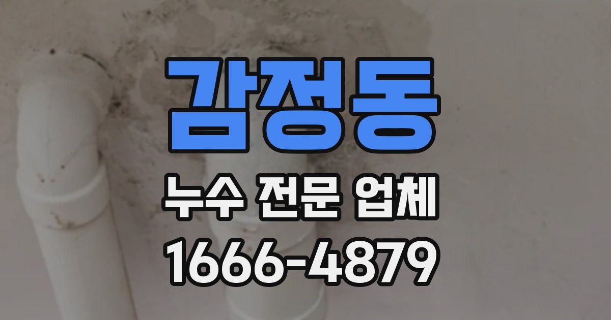 감정동 누수 전문 업체