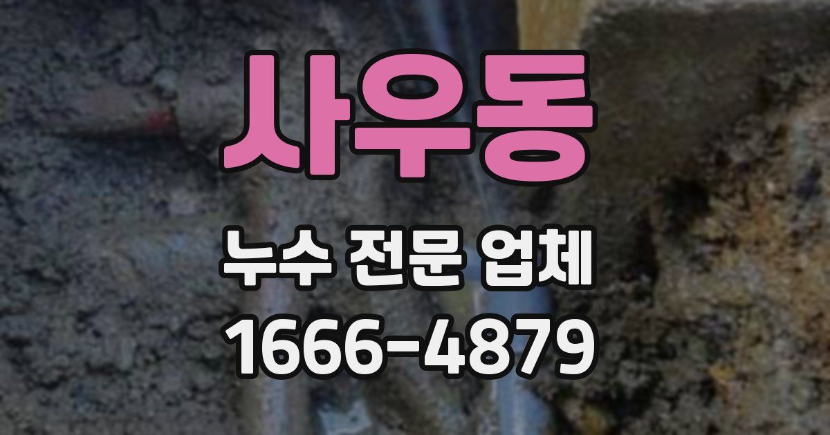 사우동 누수 전문 업체