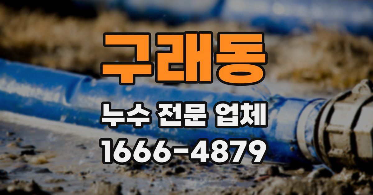 구래동 누수 전문 업체