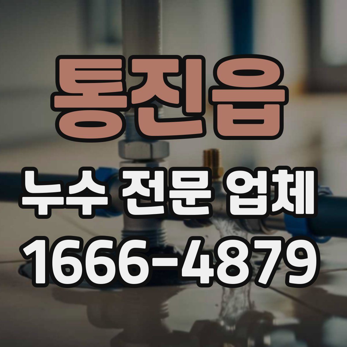 통진읍 누수 전문 업체