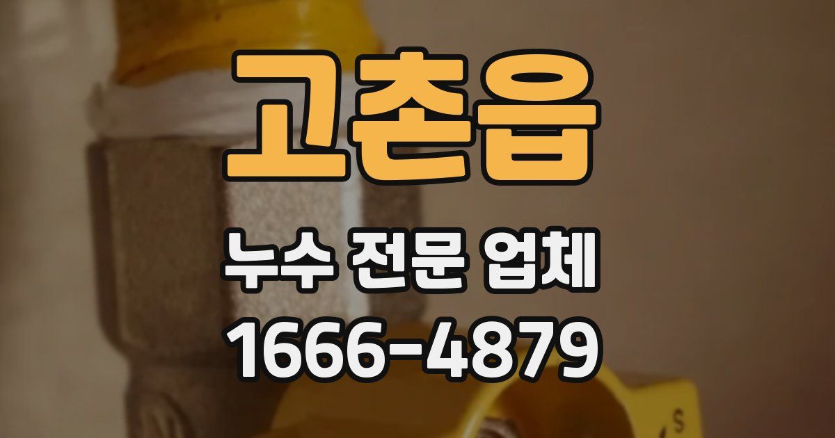 고촌읍 누수 전문 업체