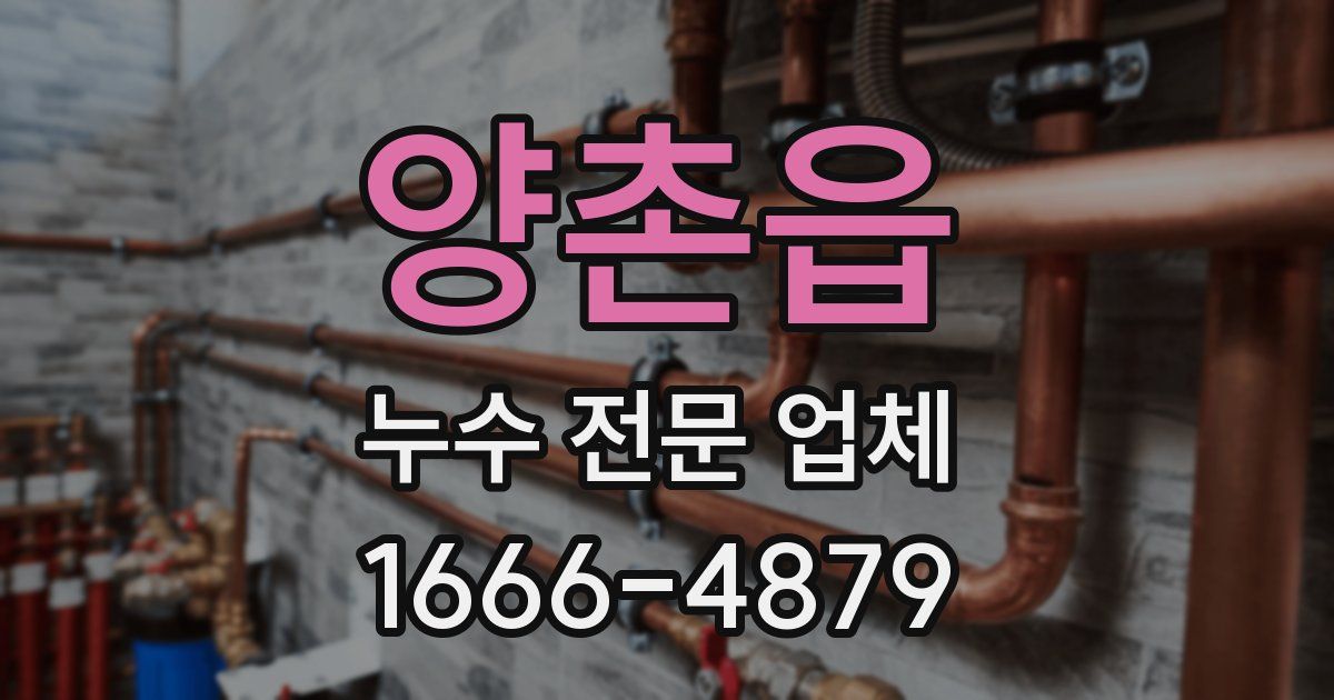 양촌읍 누수 전문 업체