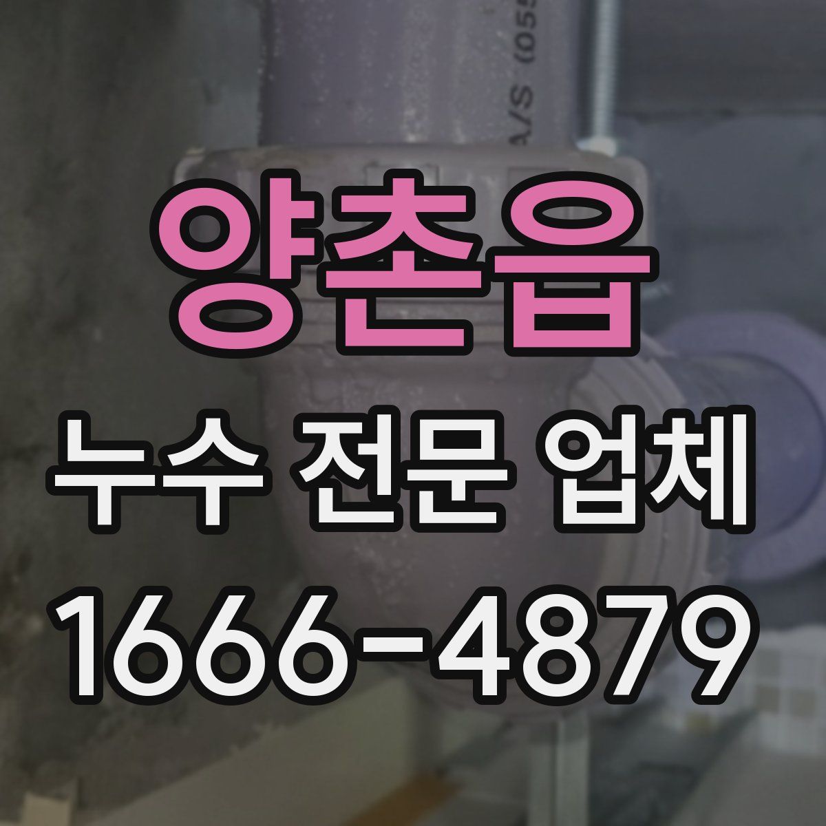 양촌읍 누수 전문 업체