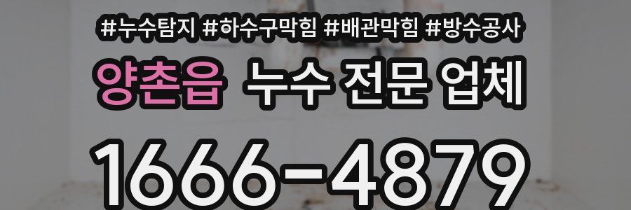 양촌읍 누수 전문 업체
