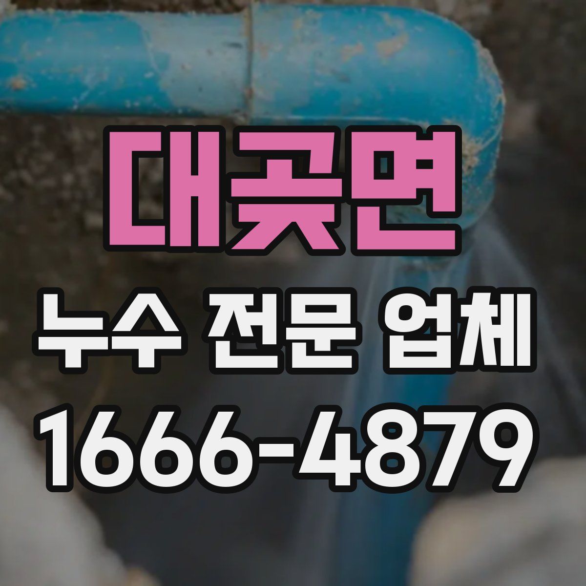 대곶면 누수 전문 업체