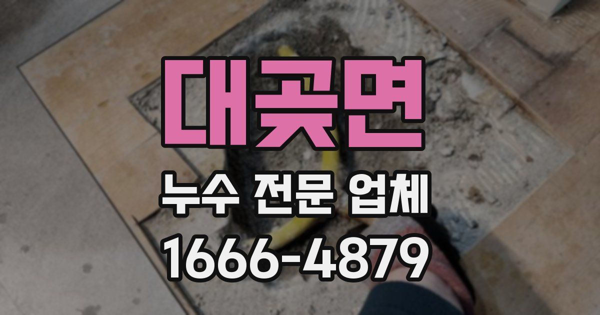 대곶면 누수 전문 업체