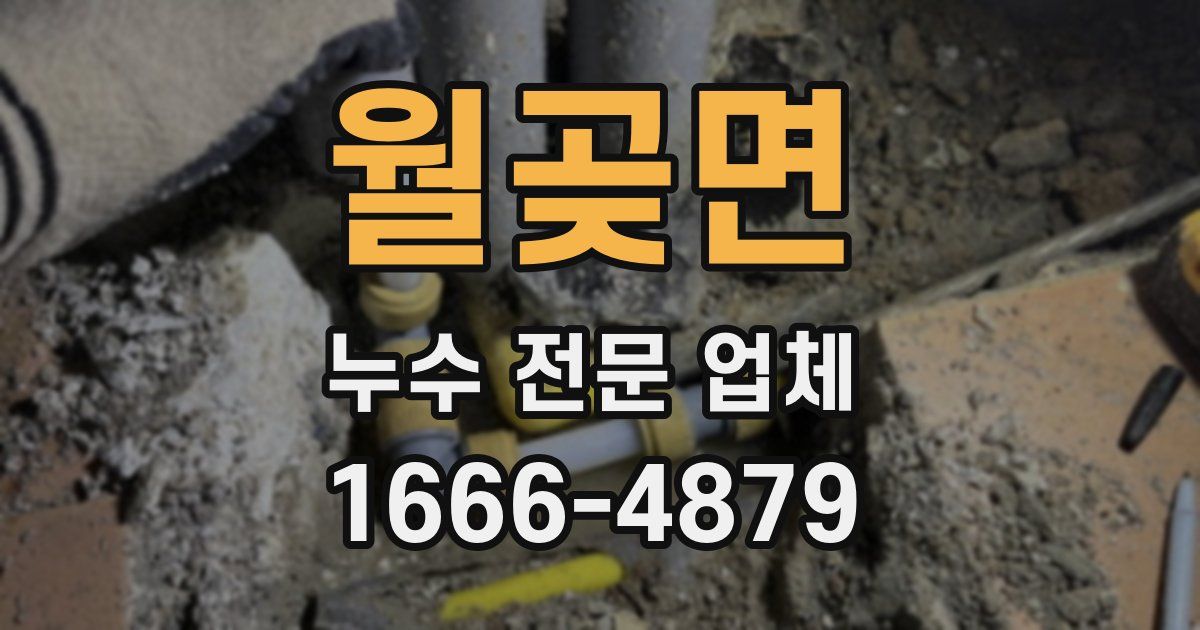 월곶면 누수 전문 업체