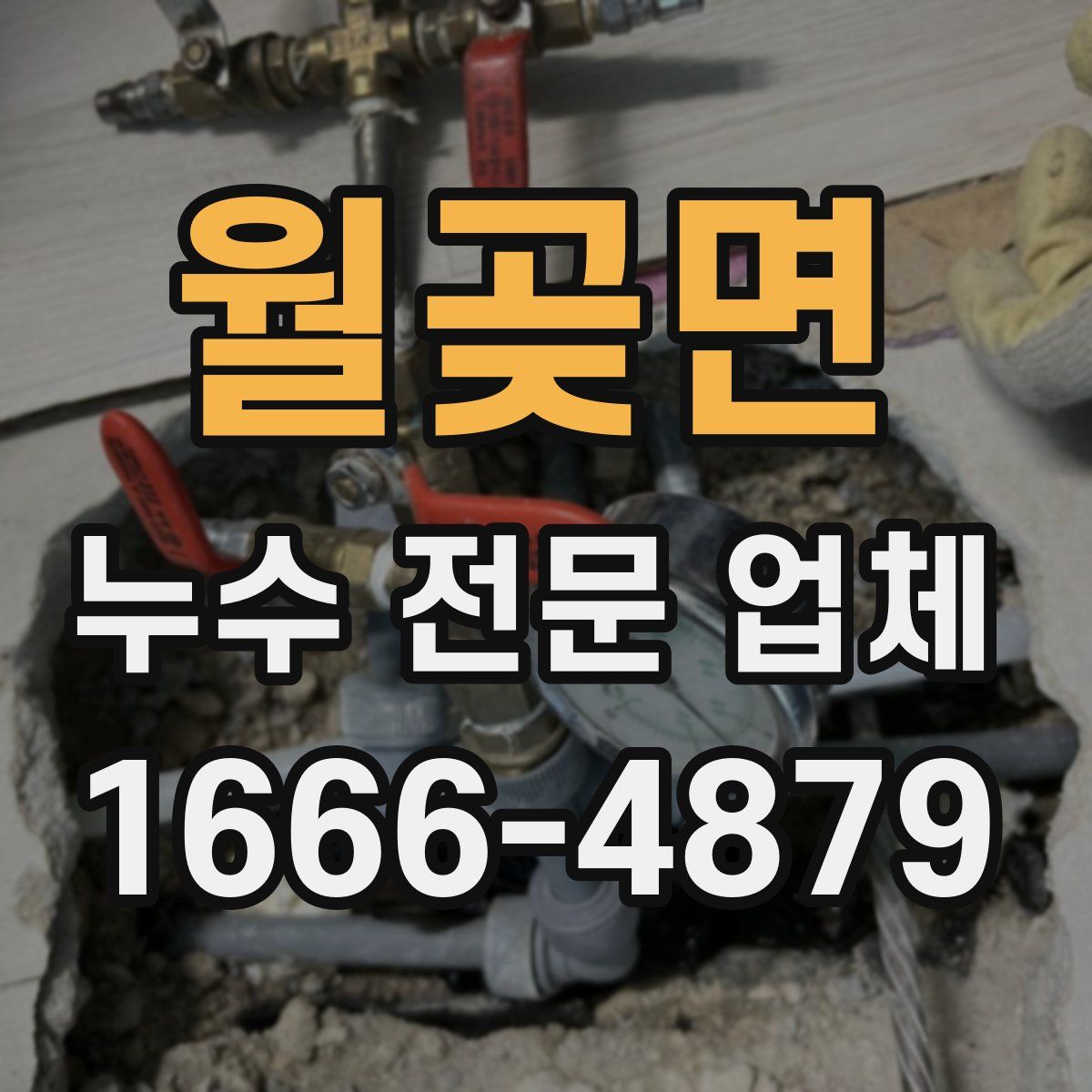 월곶면 누수 전문 업체