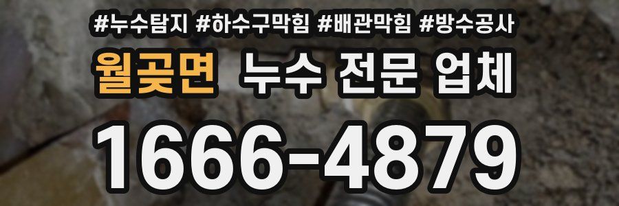 월곶면 누수 전문 업체