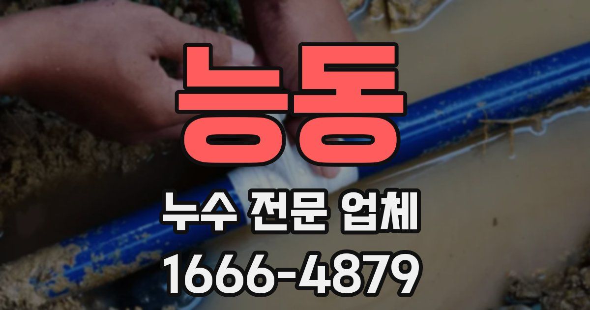 능동 누수 전문 업체
