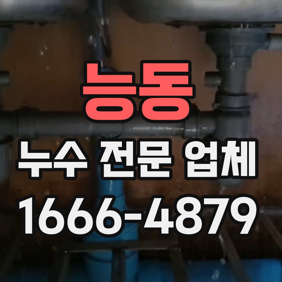 능동 누수 전문 업체