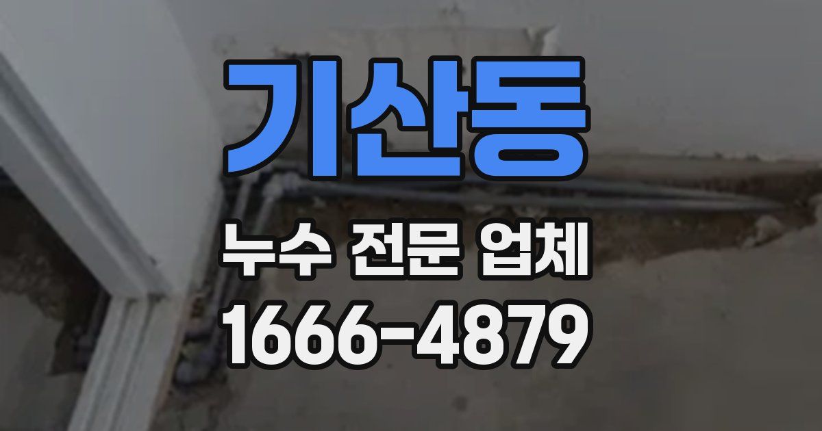 기산동 누수 전문 업체